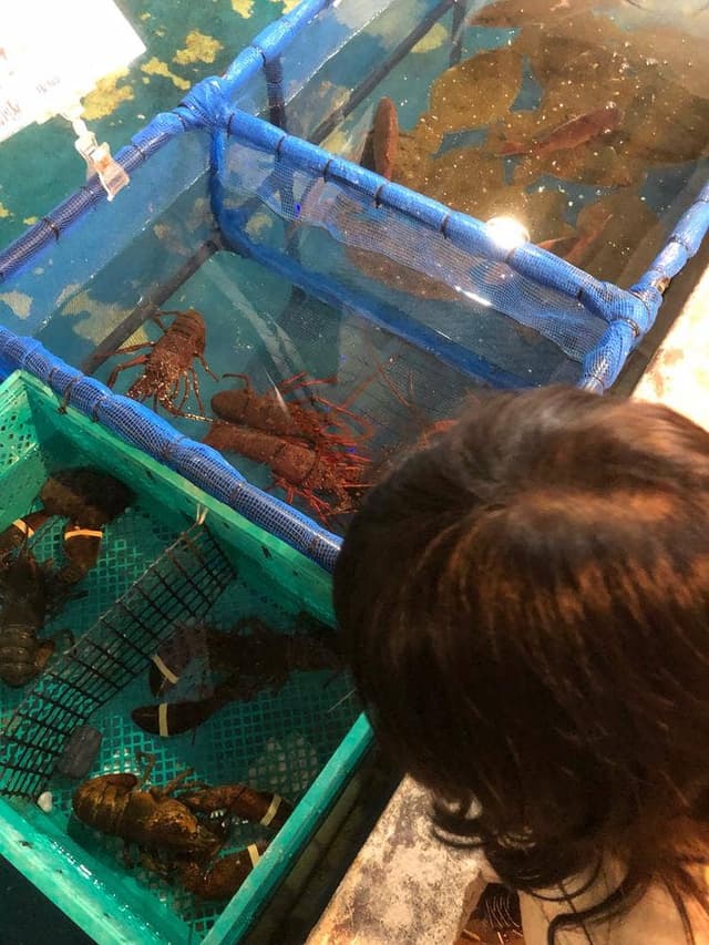 釣船茶屋 ざうお 所沢店 - サブ画像3