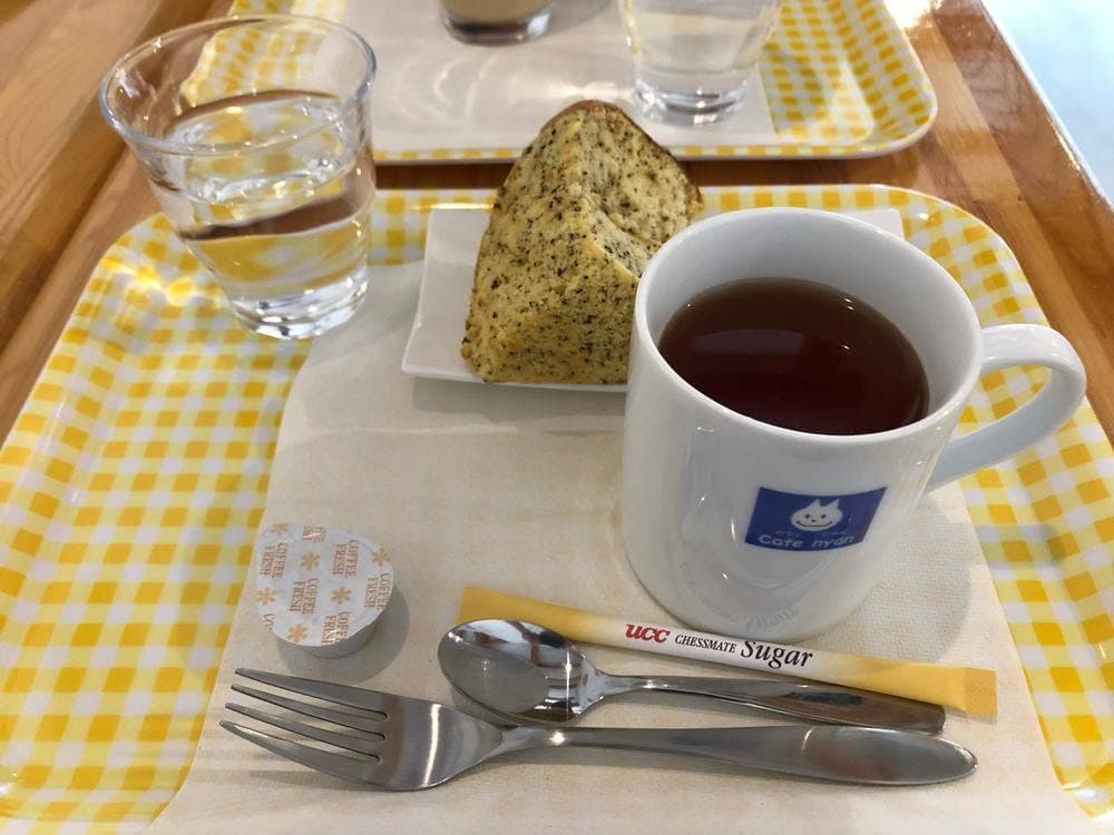 Cafe nyan