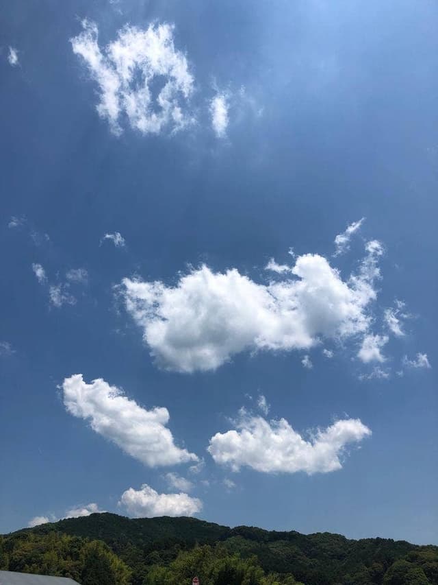 ちゃんぽん亭 朝倉店 - サブ画像3