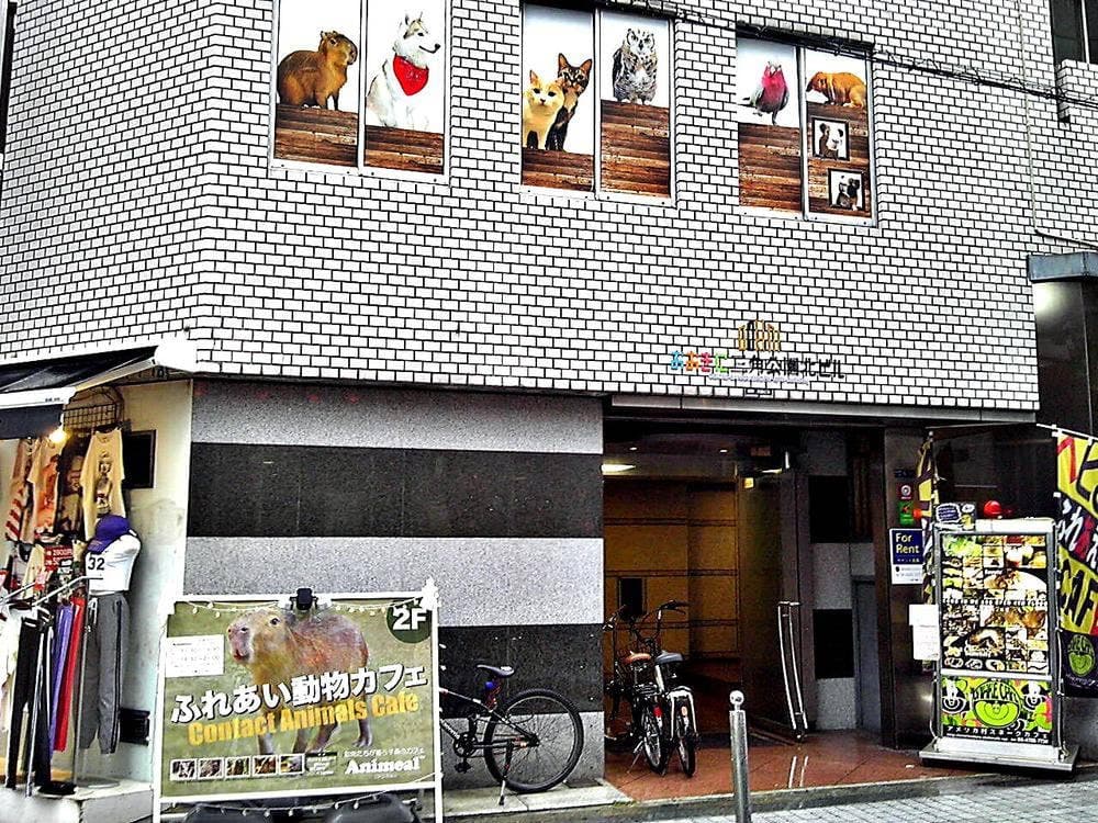 Animeal 心斎橋店