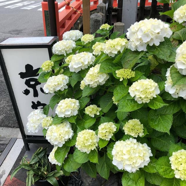 飛騨高山 京や - サブ画像2