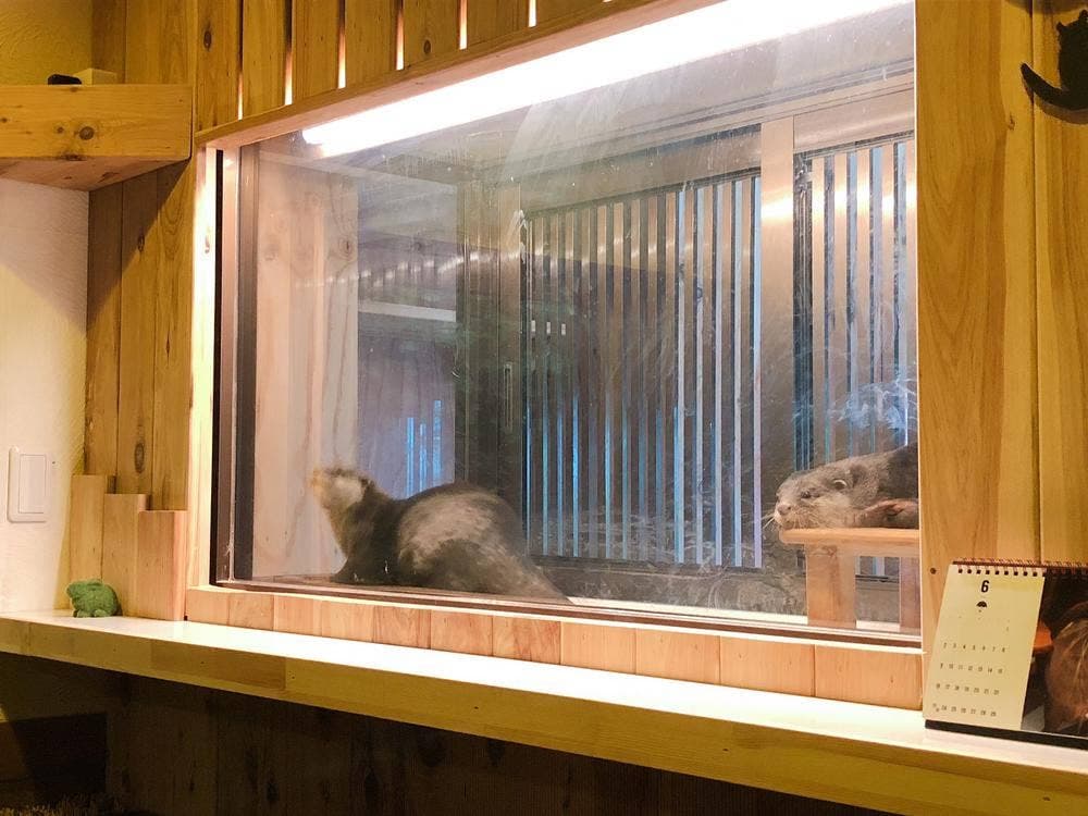 北野坂 か和うそCafe