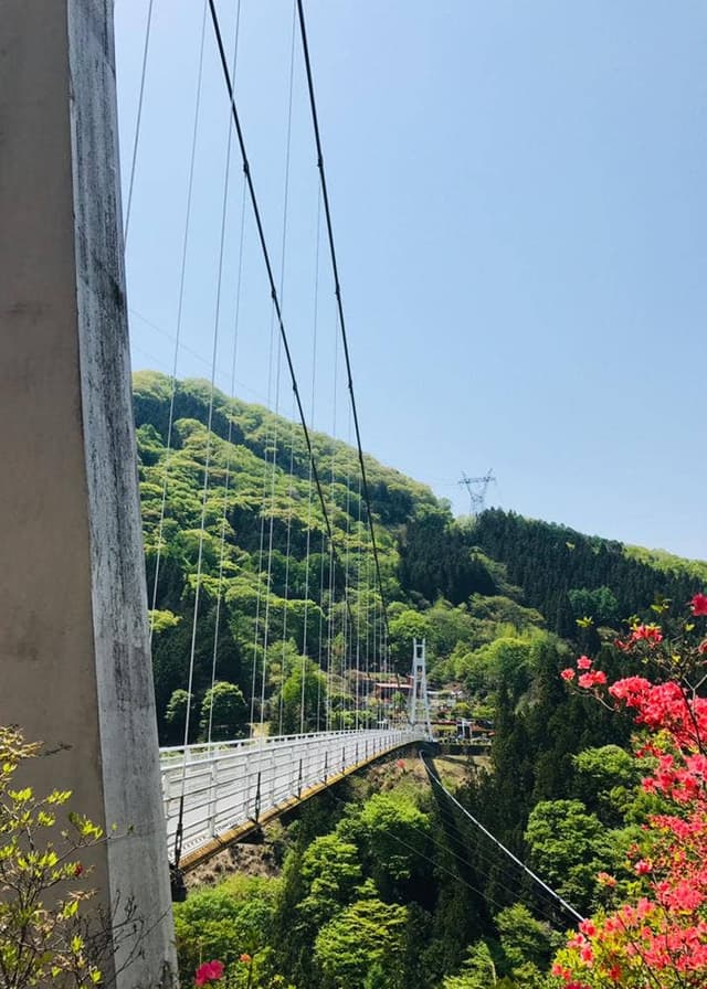 コテージカフェ まほーばの森 - サブ画像2