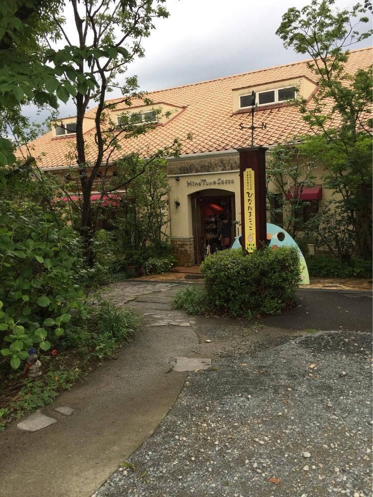 ひなたまこっこ