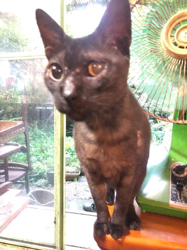 珈琲を愉しむ店ばんぢろ - サブ画像1