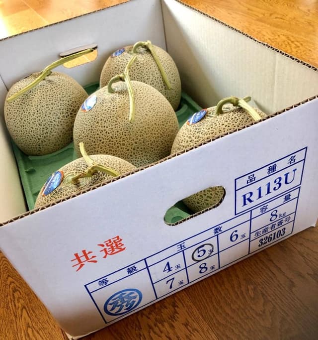 ファーマーズマーケット オガール フラノマルシェ - サブ画像3