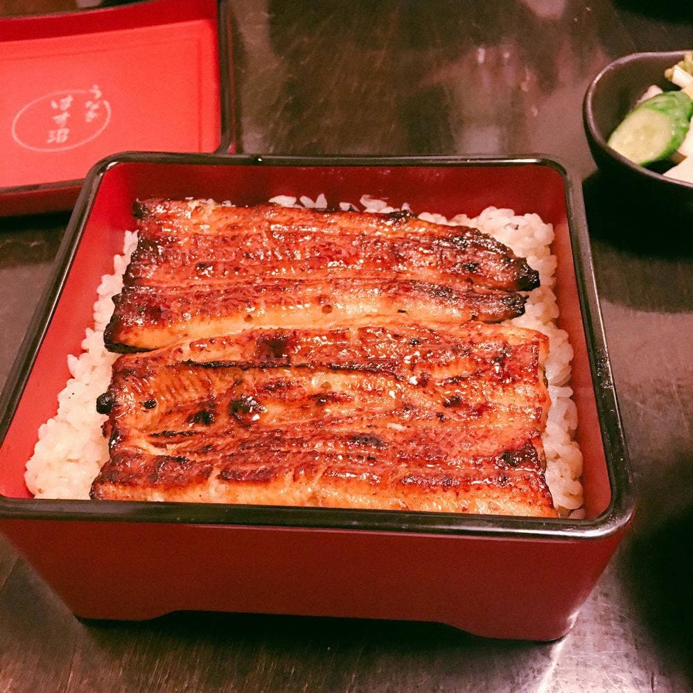 うなぎ はす沼