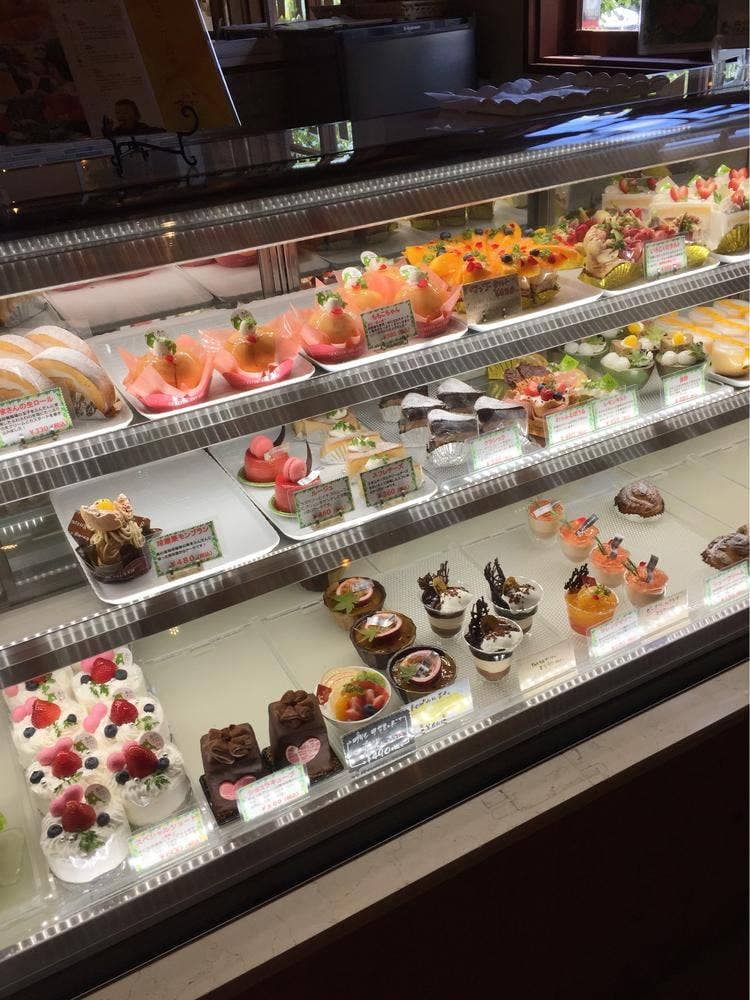 森のくまさん ボンガトー