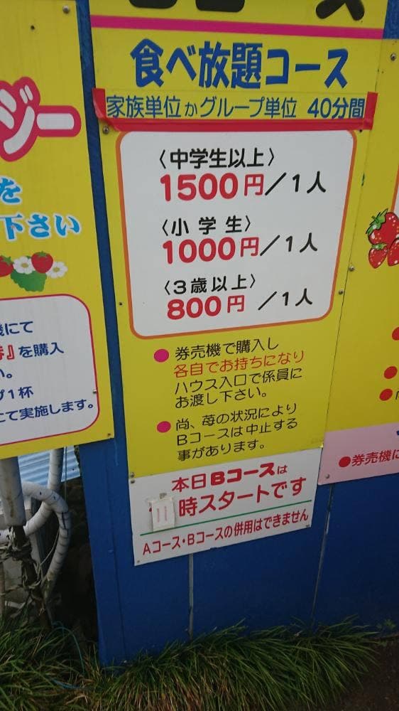 松岡ドームいちご園 - サブ画像2