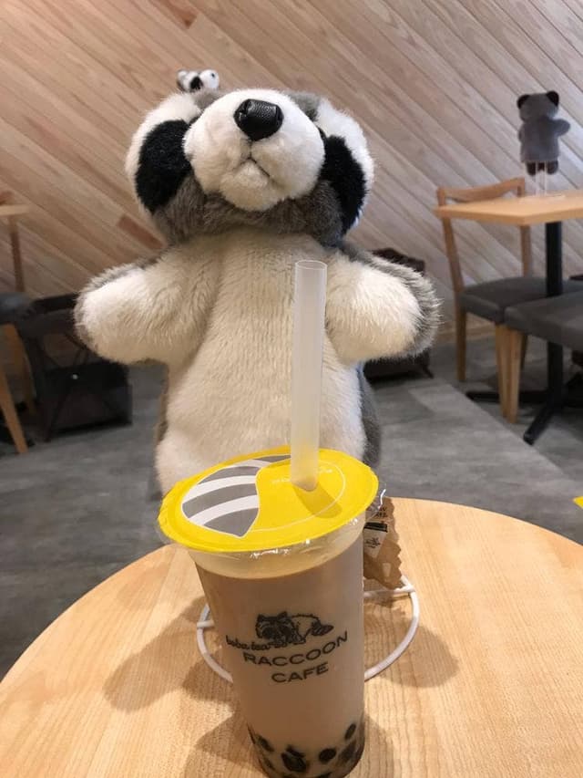 RACCOON CAFE - サブ画像1