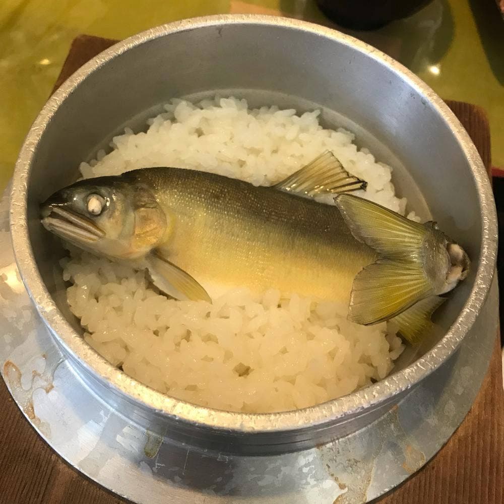松ばや