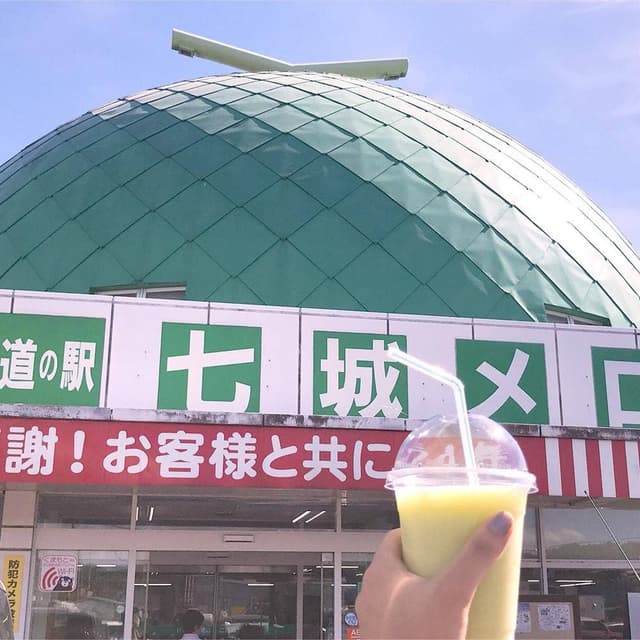 道の駅七城メロンドーム - サブ画像2