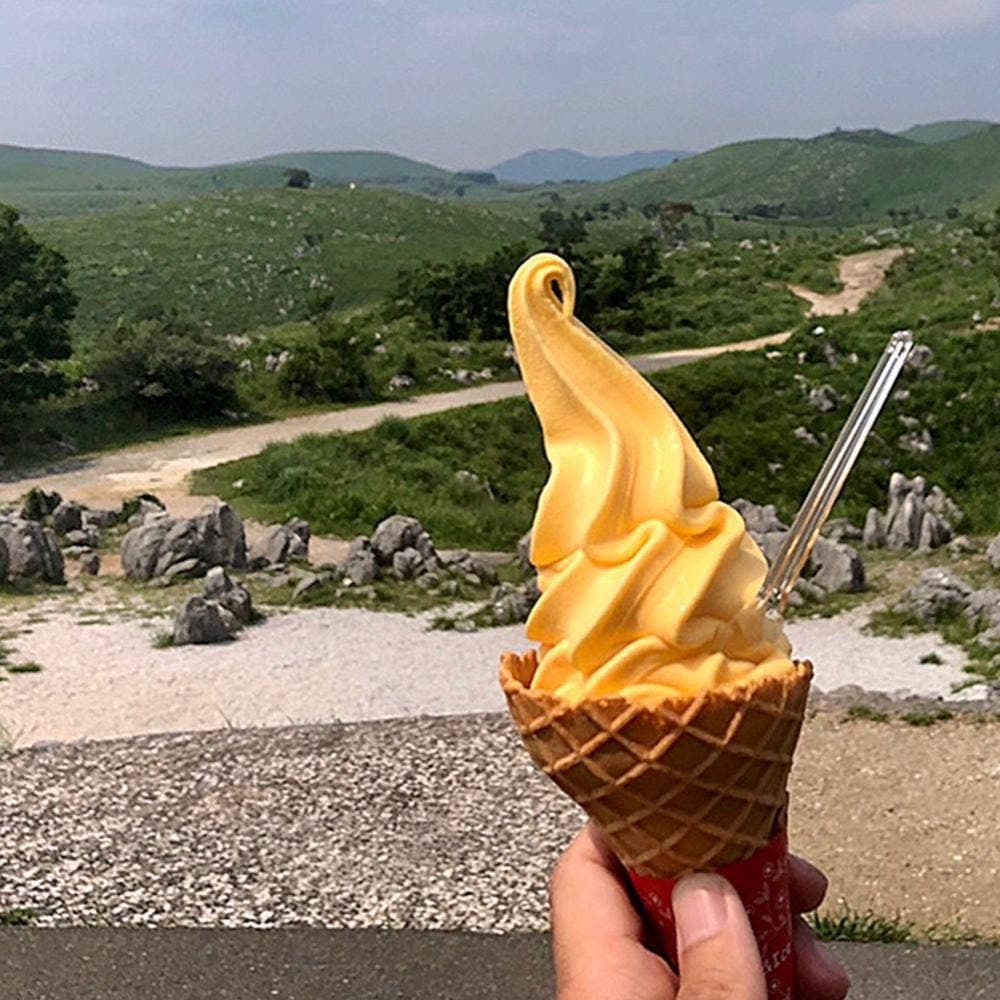 秋吉台カルスト展望台売店