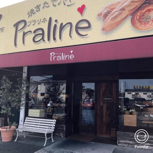 Praline 高崎小鳥店 - サブ画像2