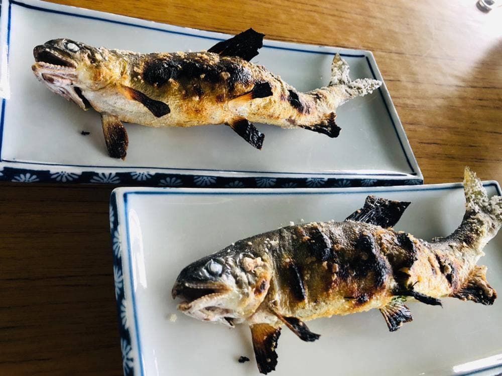 岡島やな