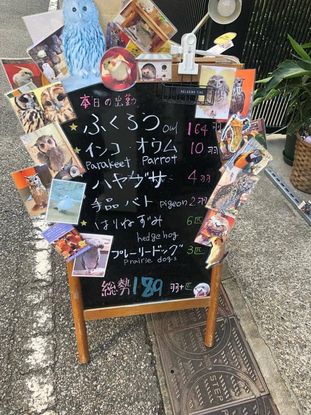 鳥のいるカフェ 谷中本店 - サブ画像3