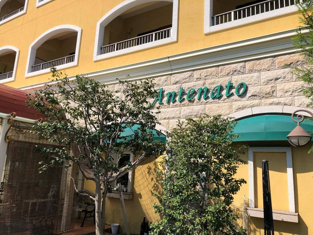 アンテェナアト 弥生が丘店