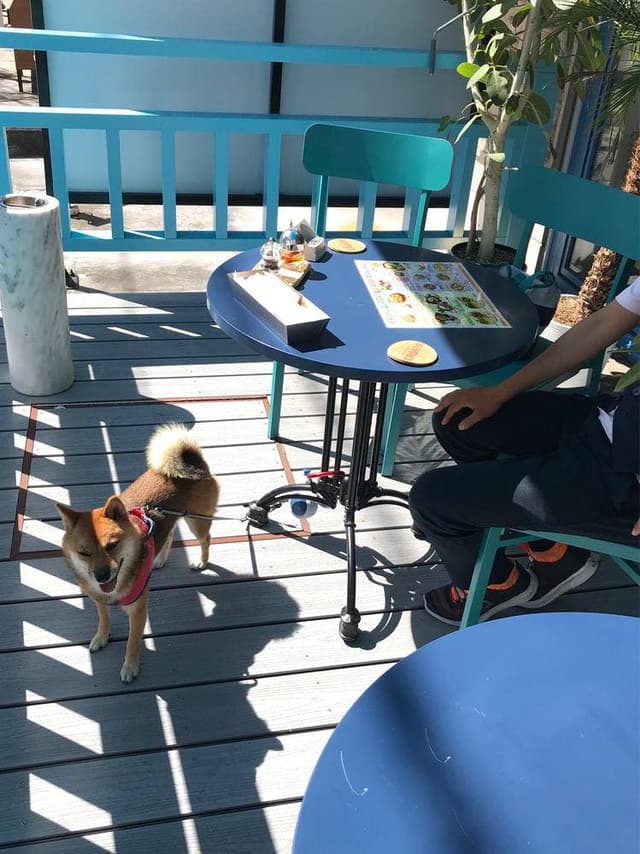 イタリアン KUROKIYA - サブ画像1