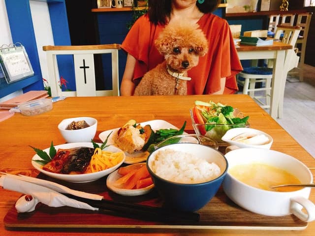 わんストーンカフェ - サブ画像1