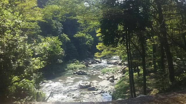 野外テラス 水の音 - サブ画像3