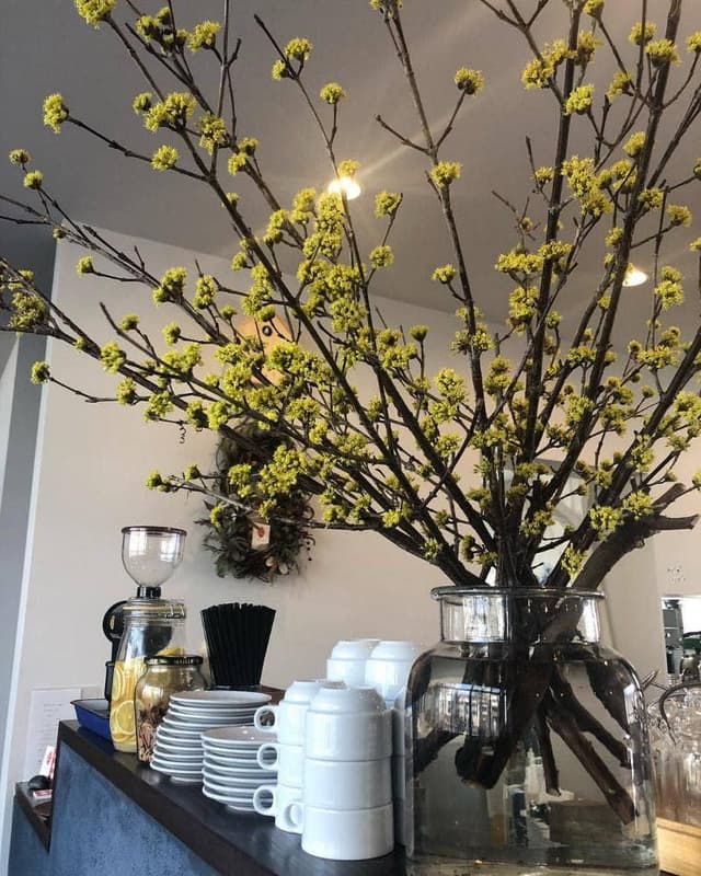 Café Le Cocon - サブ画像3