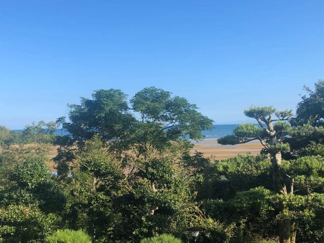 茶宗天地 - サブ画像2