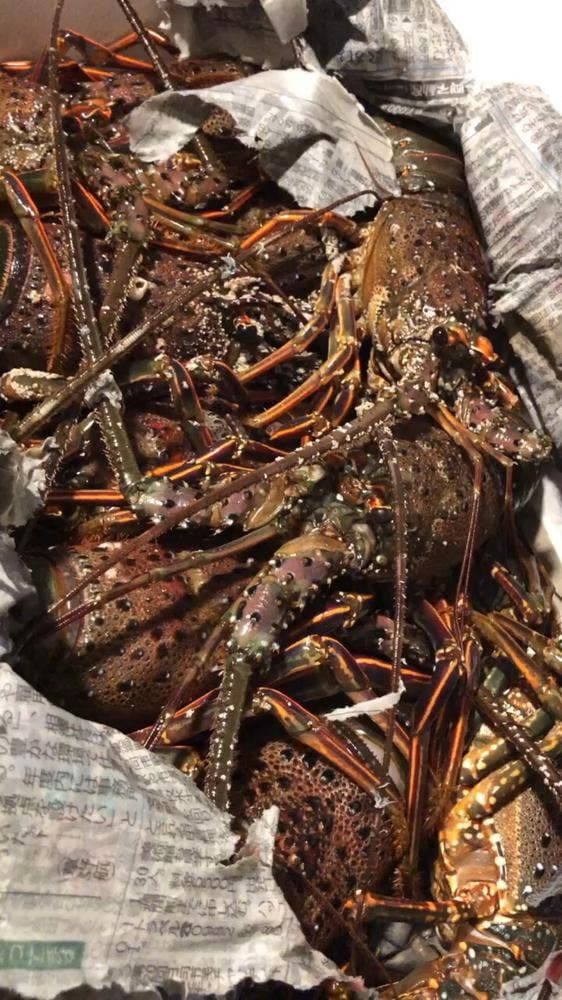 活魚料理河八 - サブ画像1