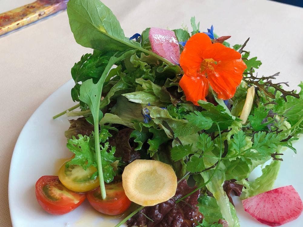 チェロステラート ウィンザー