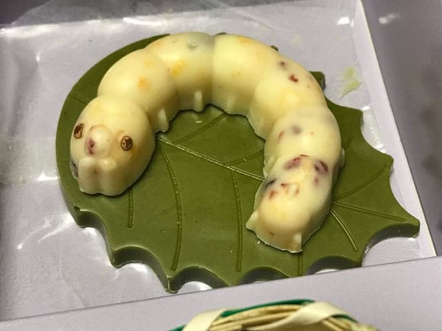 かいこの王国 富岡城町店 - サブ画像3