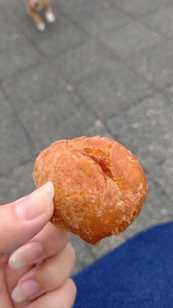 南国サービスエリア 下り線