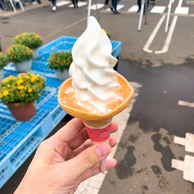 すかなごっそ - サブ画像3