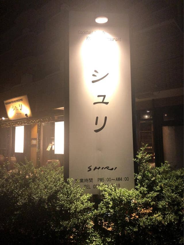 シュリ - サブ画像1