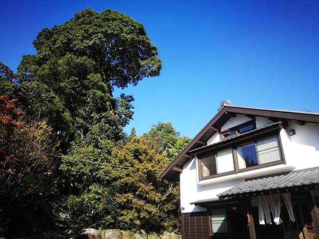 そば 遊山 - サブ画像3