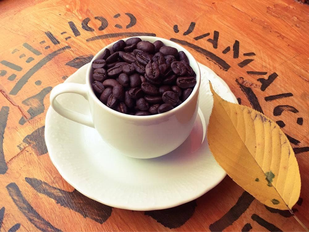 コーヒーロースト黒柴
