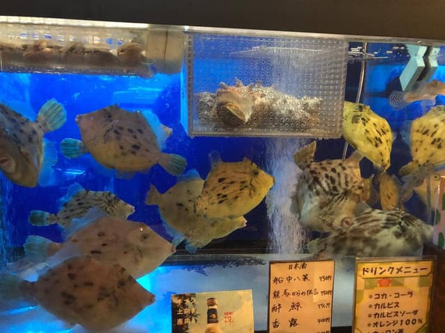 才谷屋 - サブ画像1