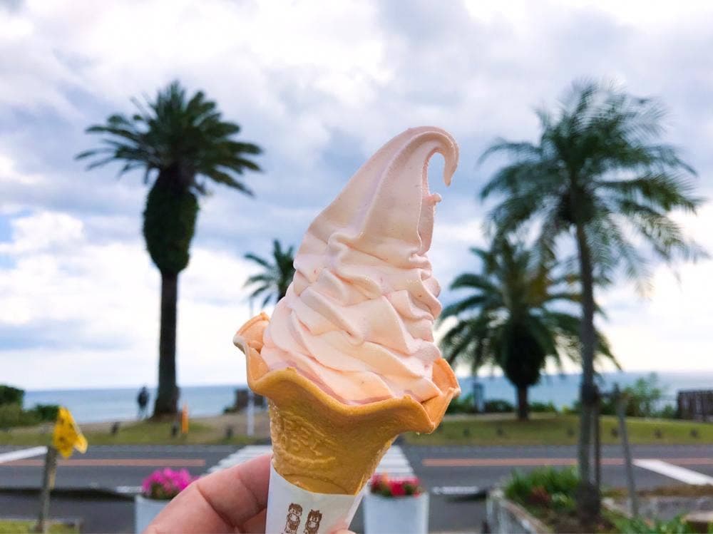 ファストフード 道の駅フェニックス