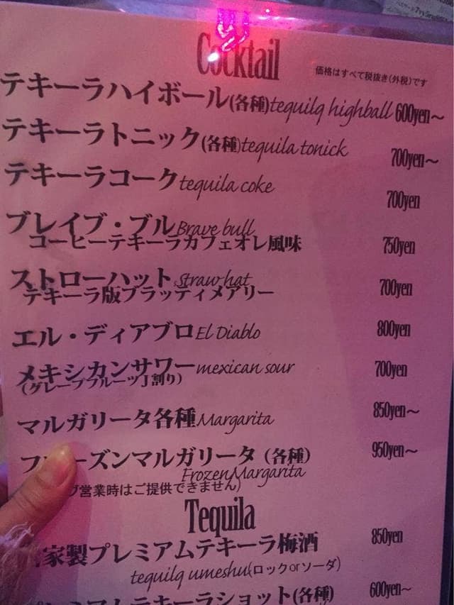 FRIDA - サブ画像2