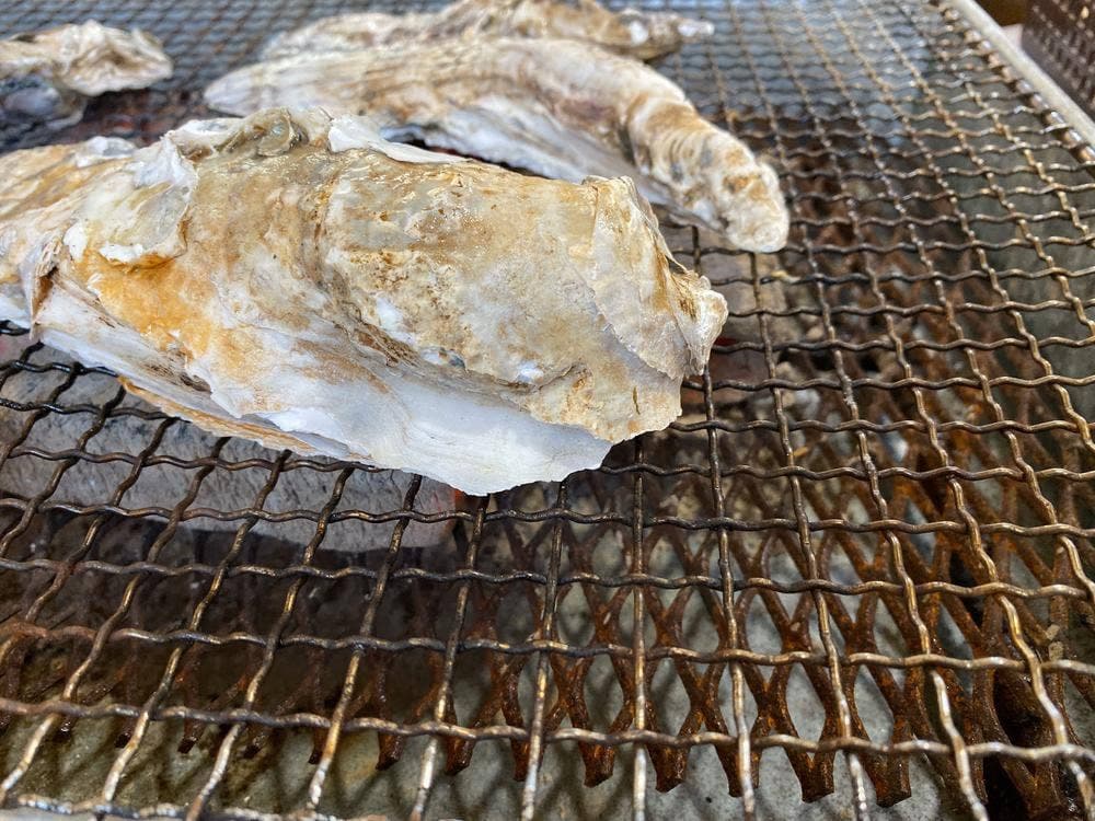 牡蠣焼き 八光