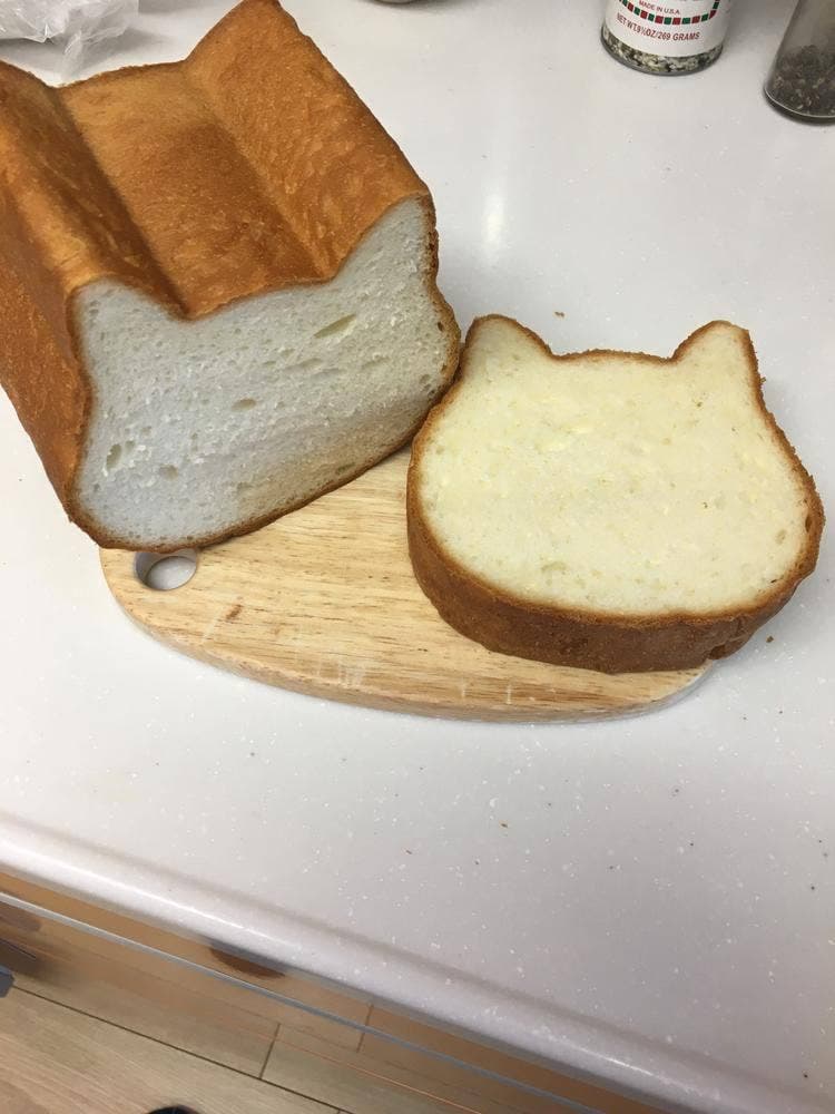 ねこねこ食パン イオンモール八千代緑が丘店
