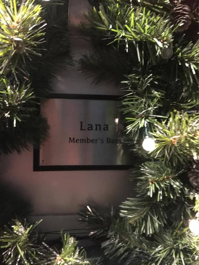 Member's Bar Lana - サブ画像3