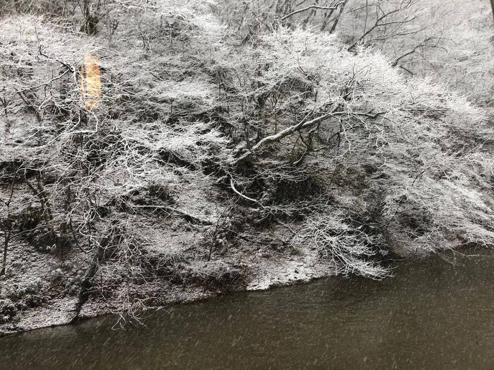 お食事処 やはぎ 賢治ゆかりの自炊部 湯治屋