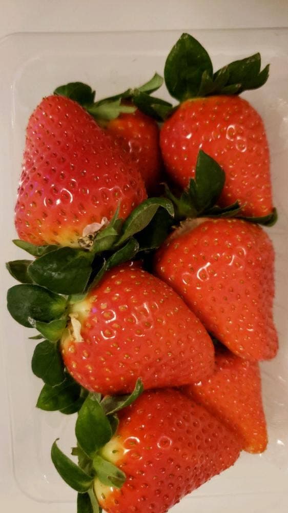 おおむら夢ファーム シュシュ - サブ画像1