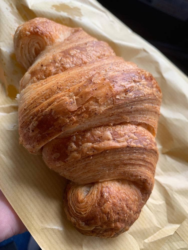 そらいろのたね