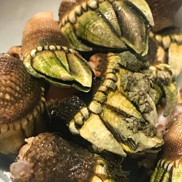 料神 - サブ画像1