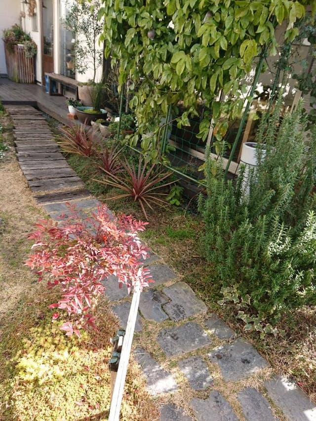 山カフェ アネテアニヴェール - サブ画像3