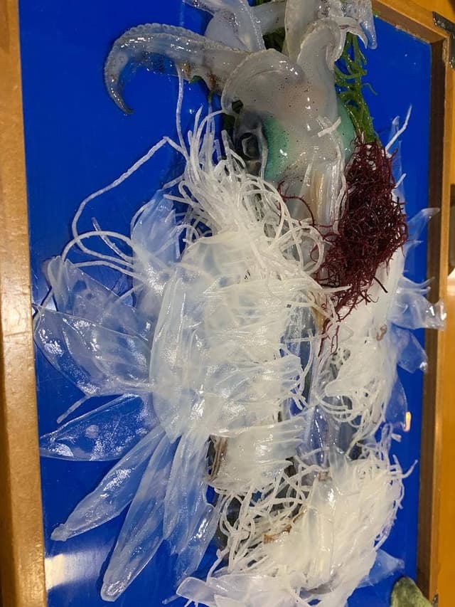 お魚処 玄海 - サブ画像3