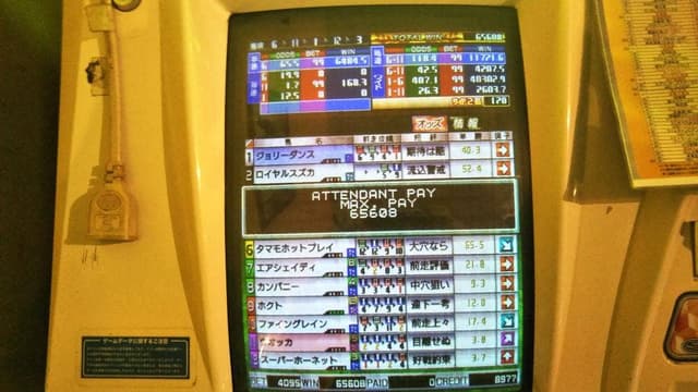 すたみな太郎NEXT 亀戸店 - サブ画像1
