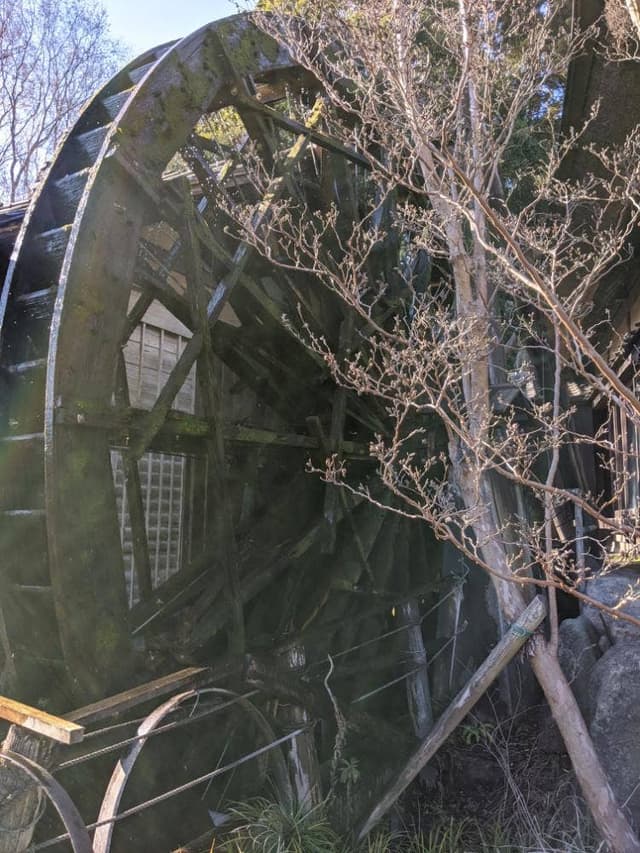 みずほの村市場 蕎舎 - サブ画像3