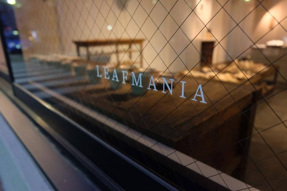 LEAF MANIA