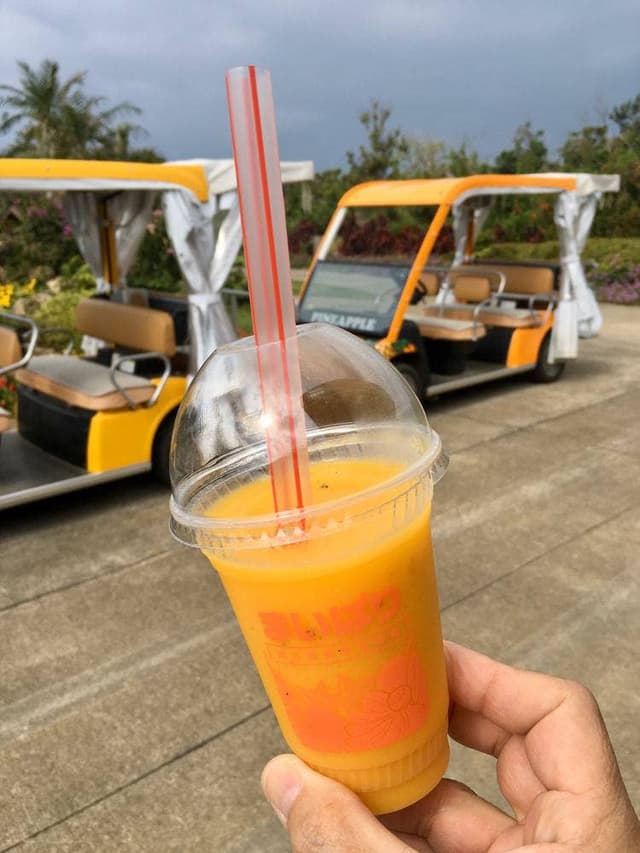 宮古島熱帯果樹園 まいぱり カフェ&ショップ - サブ画像2